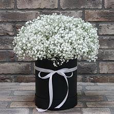 Цветочная композиция из Гипсофила в шляпной коробке в Грушевском